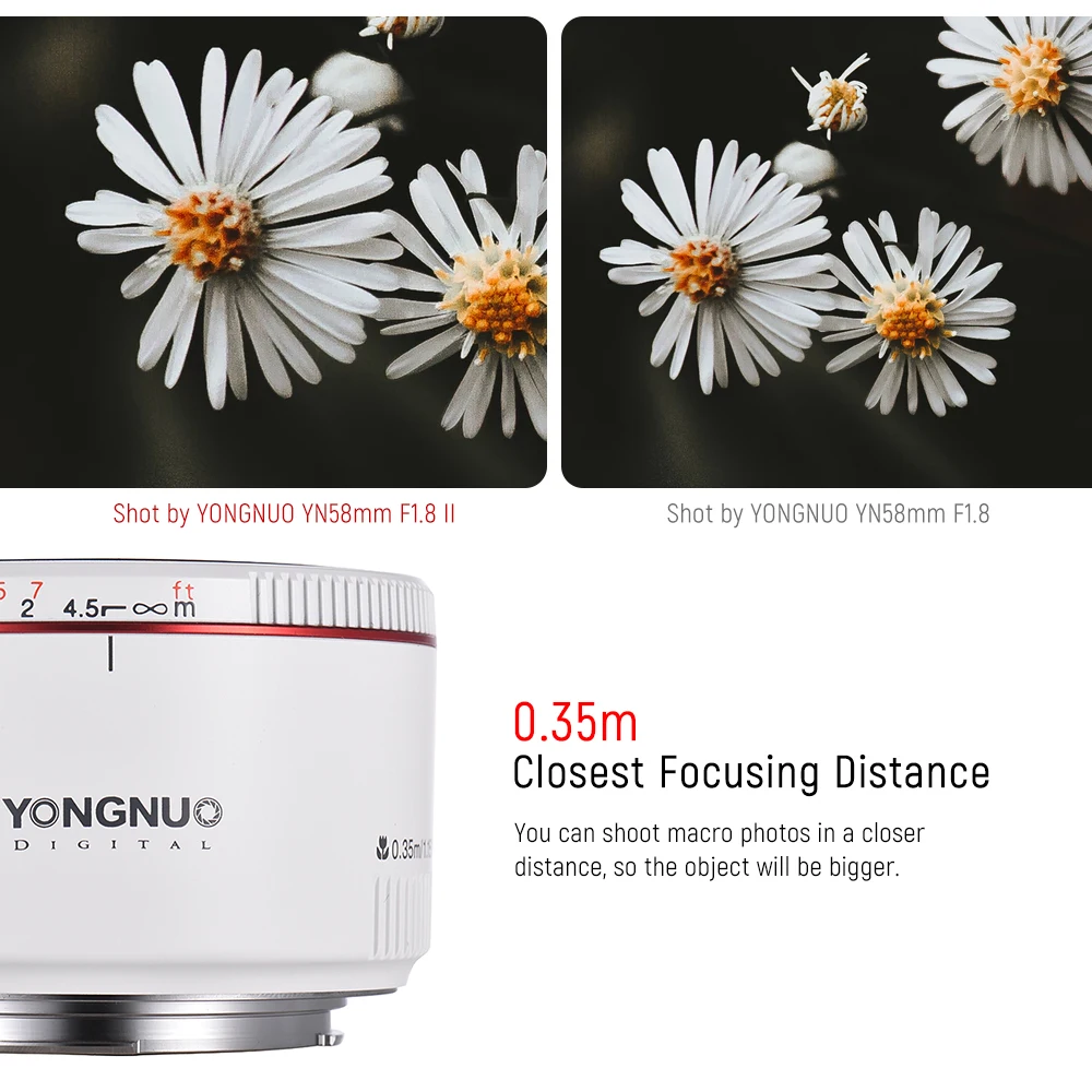 YONGNUO YN50mm F1.8 II Large Aperture Auto Focus Lens Small Lens with Bokeh Effect for Canon EOS 70D 5D2 5D3 600D DSLR Camera