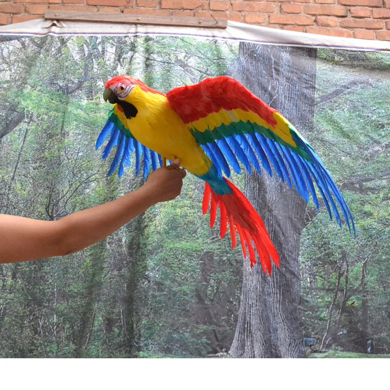 

large 60x90cm spreading wings parrot bird model polyethylene&colourful feathers parrot home garden decoration gift s2997