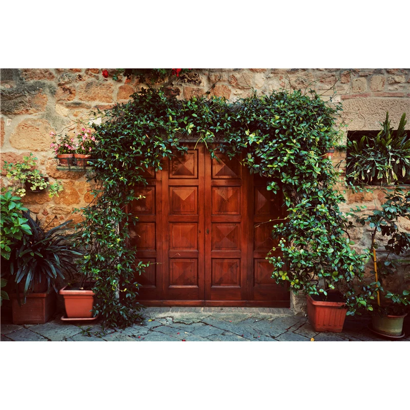 

VinylBDS Photographic Background Doors Doorway Brick Plant Flowers Pots Abstract Summer Backdrops Princess Christmas