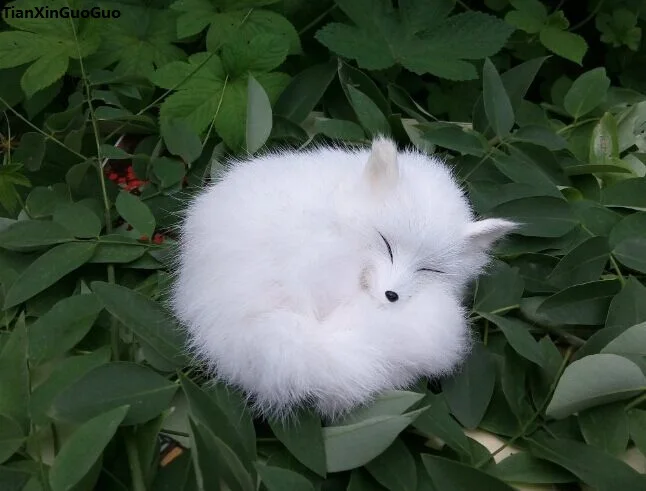 

simulation white fox hard model prop about 14x10cm furs fox ,home decoration toy gift s1510