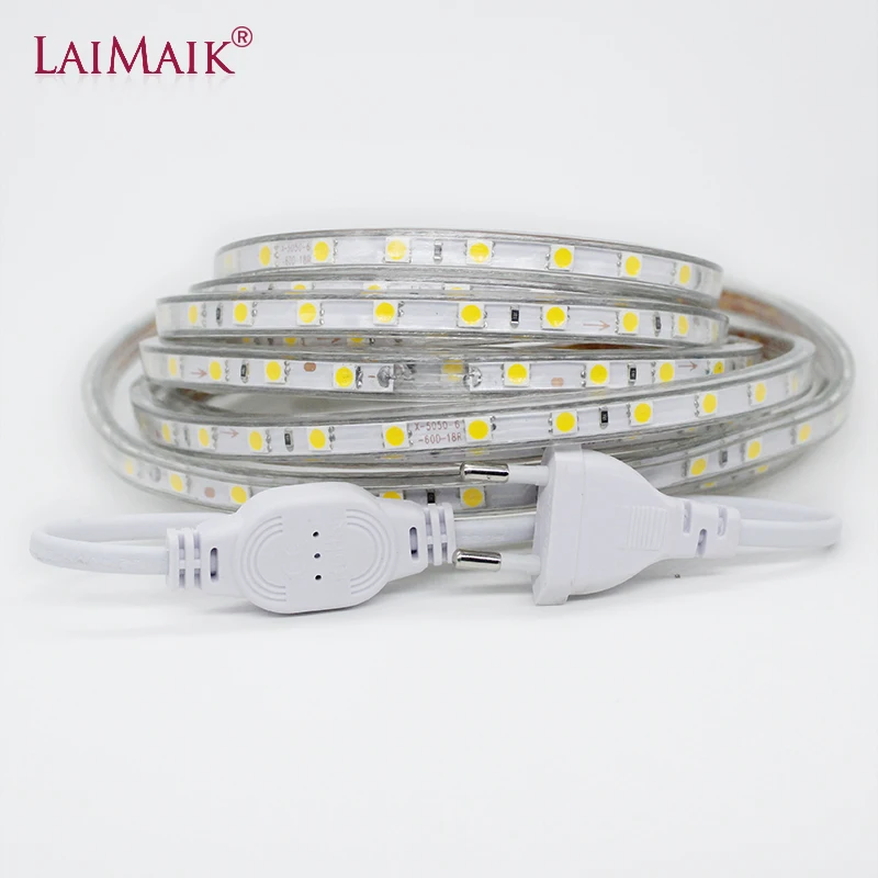 Tira de luces LED impermeable con enchufe de alimentación, cinta de 60leds/m SMD5050, Flexible, RGB, 5m, 10m, AC220V, IP65