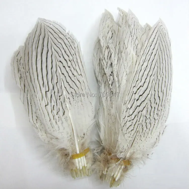 30Pcs/Lot!6-8inches(15-20cm)Natural Silver Pheasant Feathers-Natural Color - Craft and Fly Tying,Top With Feathers