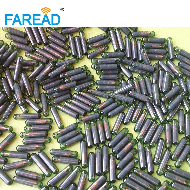 2.12*12mm Iniettore di Vetro FDX-B Microchip Siringa Rfid per Animali Domestici Cane Tag Animale Lettore di Scanner Chip Iniettabile Impianto All'ingrosso