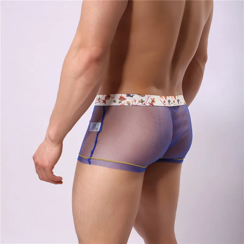 Bóxer transparente de malla elástica para hombre, ropa interior Sexy, a la moda, genial, Gay, para adultos