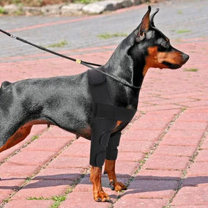Hundeknie, Verletzungen, Bein, chirurgische Verpackung für Artikulation, Hundwunden, Curiza Hunde -Frontarthritis, Vermeidung von Hunden, medizinische Versorgung Hauptprotetoe Sales Knie Dog - №4