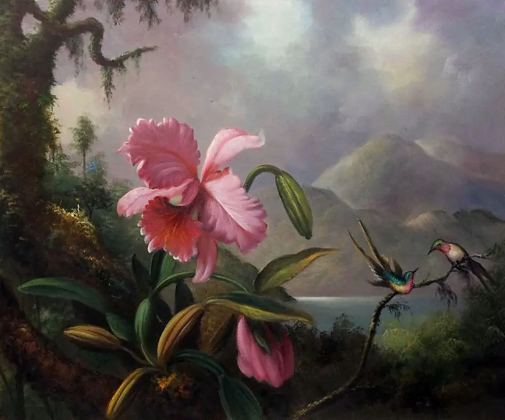 

Dining Room Painting Flower Oil Painting Orchids and Hummingbirds, 1890 by Martin Johnson Heade Famous Wall Art Hand Painted