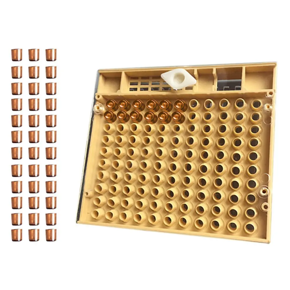 NOCM-Beekeeping Tools Equipment Set Queen Rearing System Cultivating Box 110pcs Plastic Bee Cell Cups Cup kit Queen Cage