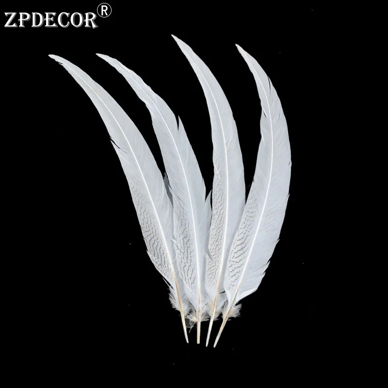 

60-65 CM 24-26 Inch Silver Pheasant Tail Feathers Color can be custom