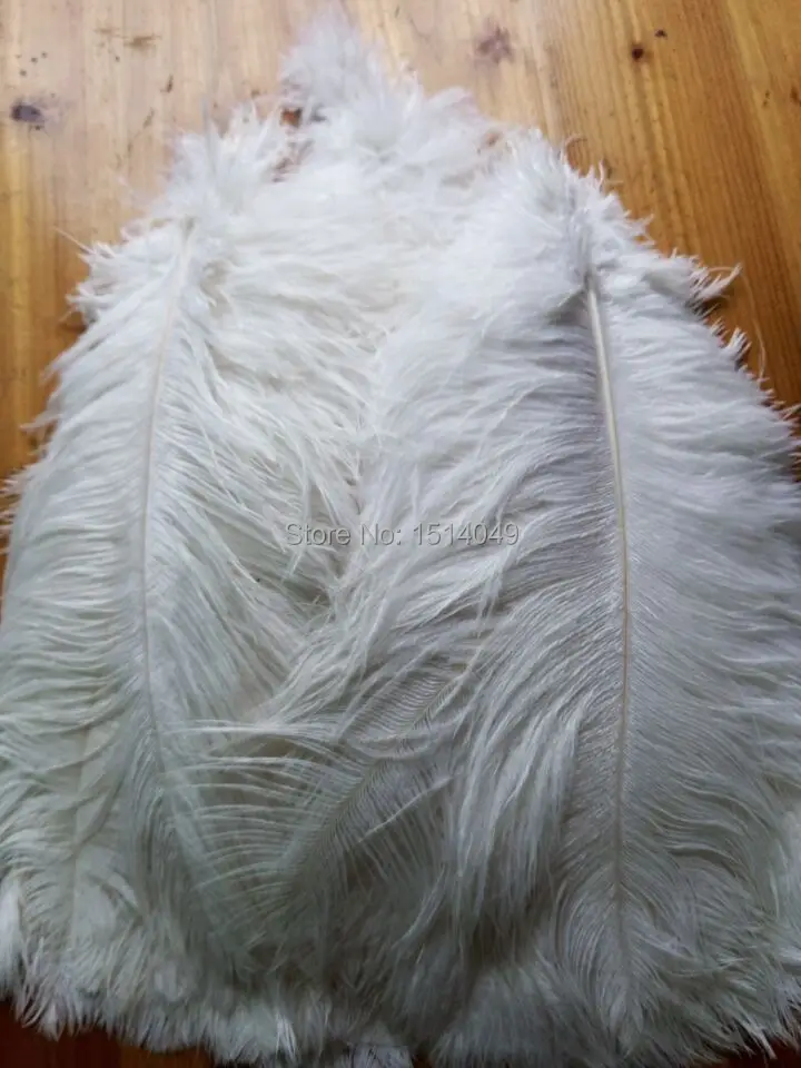 wholesale Quality 100pcs perfect Leniency Male  natural  ostrich feather 12-14inch/30-35cm decorative A variety of colors