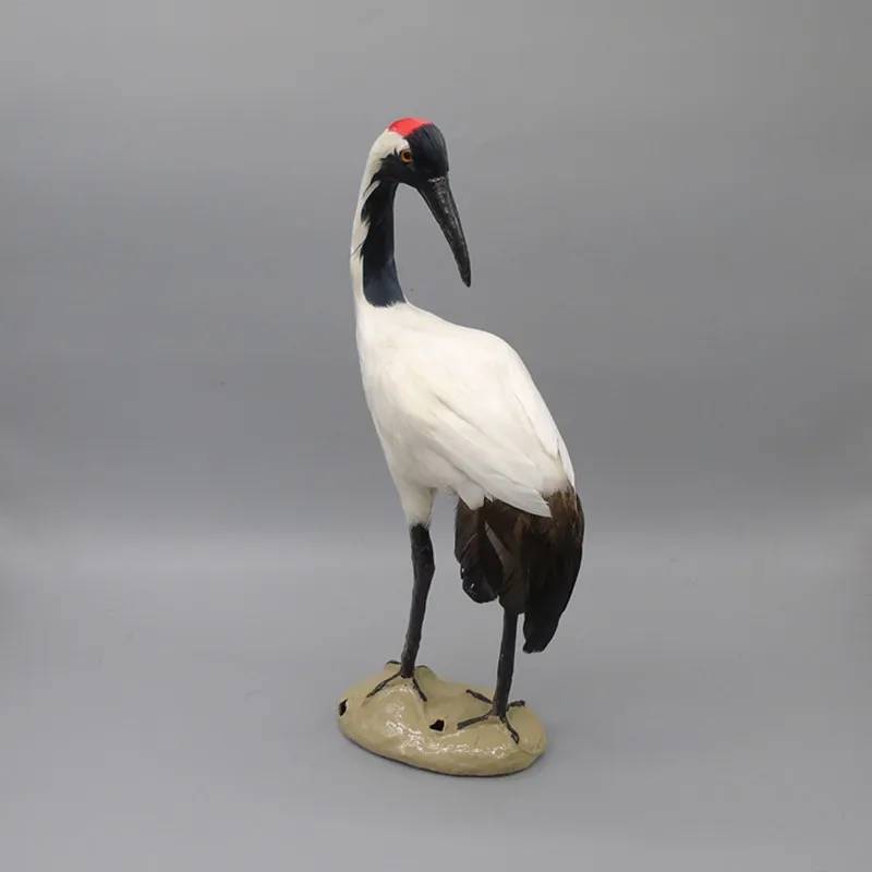 

simulation Crowned Crane model polyethylene&feathers white Crowned Crane bird prop 16x38CM handicraft home decoration gift b1859