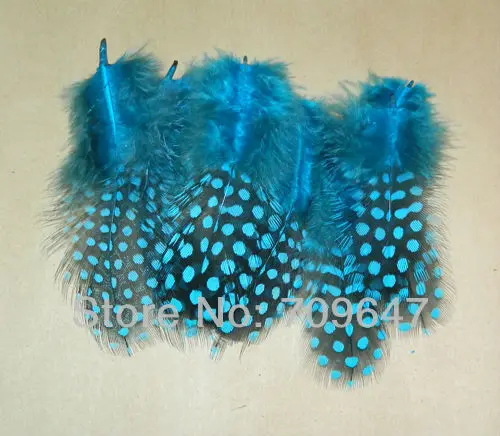 Blue Feathers!200Pcs/Lot 6-12cm SKY BLUE LOOSE GUINEA Fowl Spotted Feathers,turquoise feathers,loose for jewelry