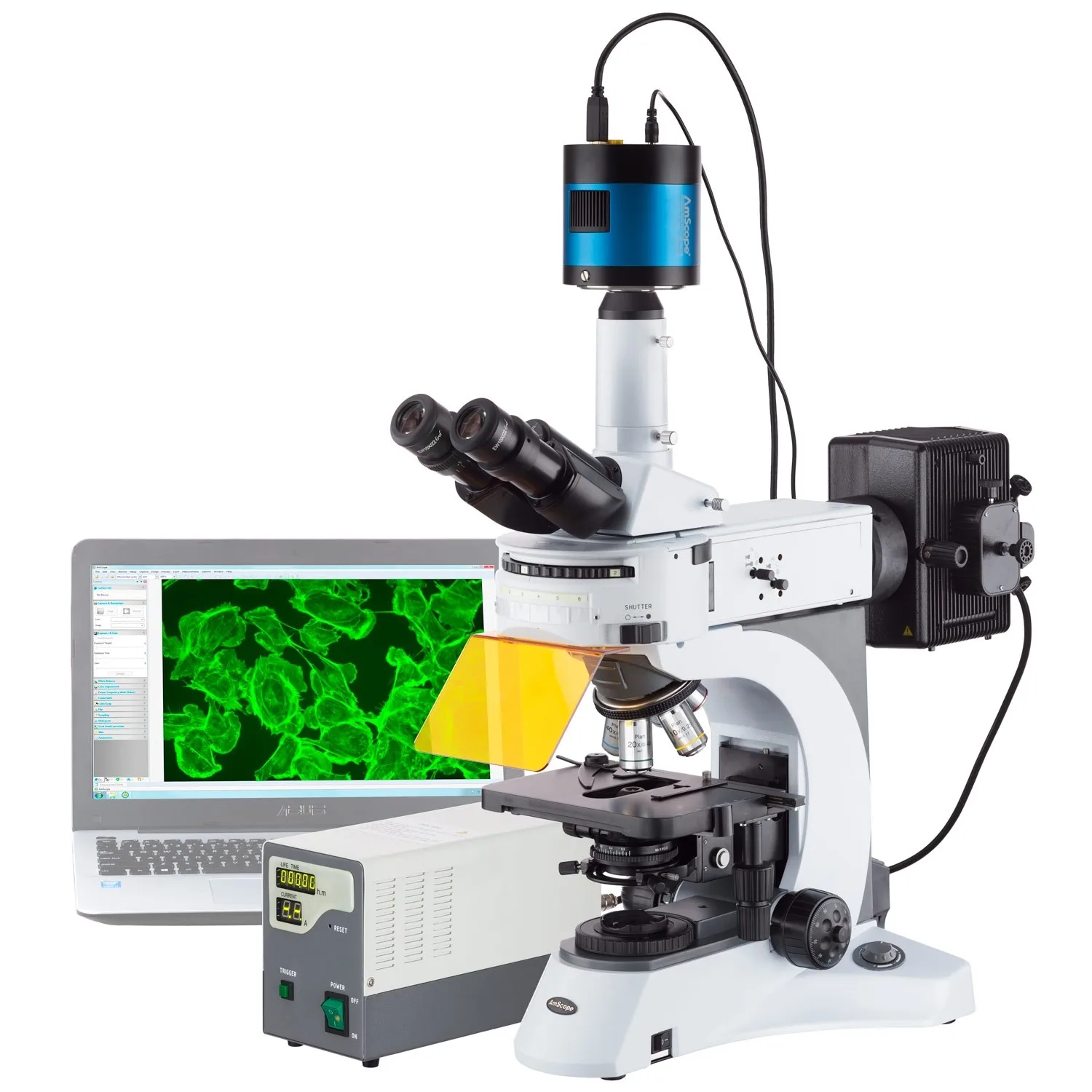 AmScope 40X-1000X Upright Fluorescence Microscope with Rotating Multi-filter Turret + Ultra-sensative 1.4MP CCD Camera