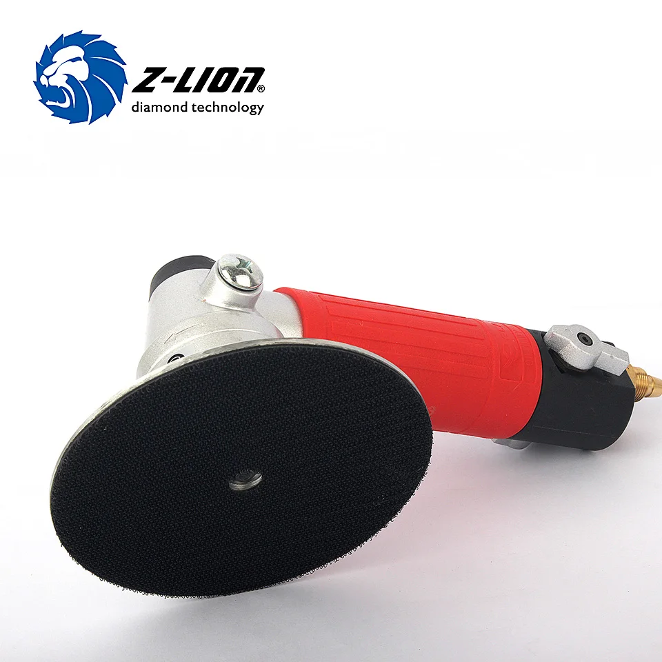 Z-LION 5\