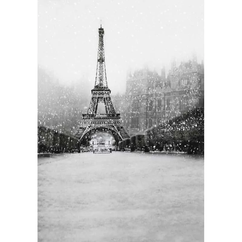 

Building Photography Backdrops Eiffel Tower Snowflake Gray Background for Photo Studio Wedding Photos Portrait Photo Shoot Vinyl