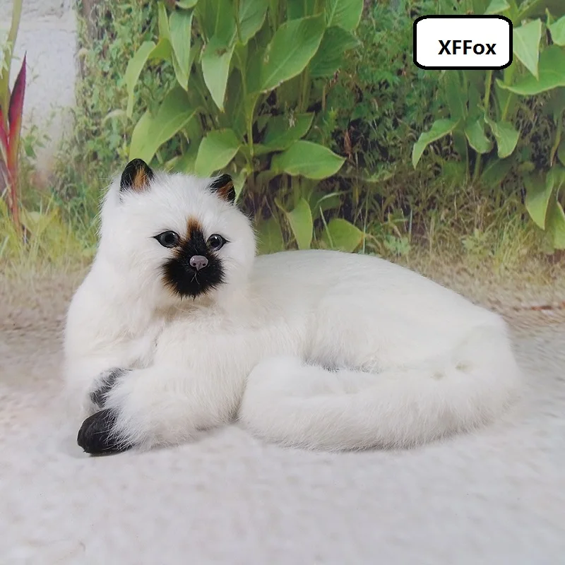 big new real life lying black mouth cat model plastic&furs beautiful white cat doll gift about 30x16x21cm xf1434