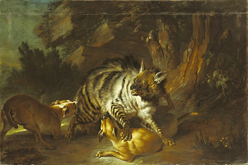 Oil Painting Reproduction,handmade oil painting,Hyena by Jean-Baptiste Oudry,Animal oil painting , Museum quaity