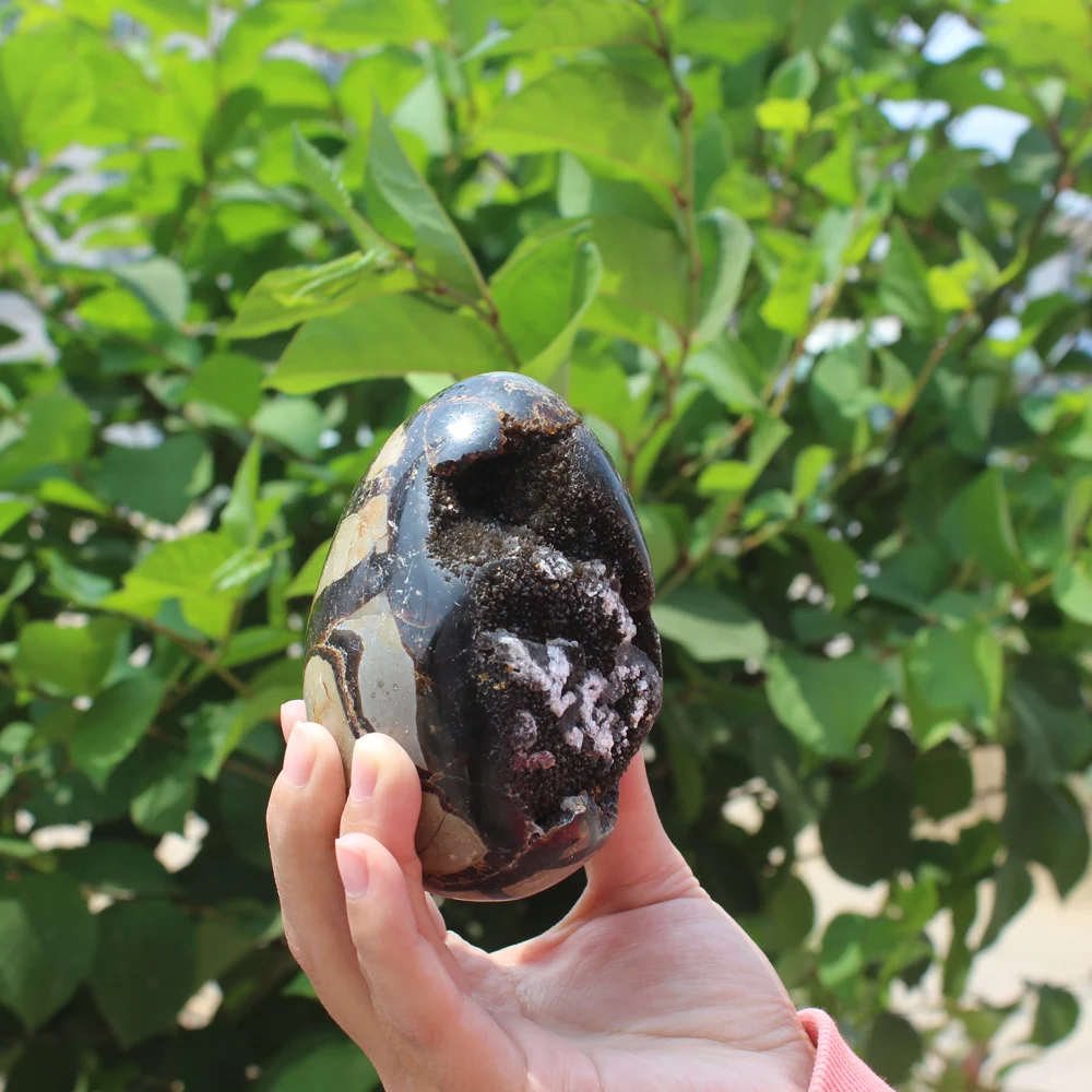 580g Natural curvature of the furnishing articles Turtle grain stone egg  Ball Septarian nodule Crystal Healing quartz 52