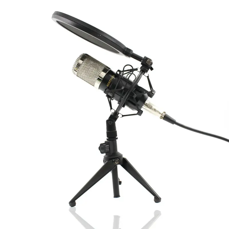BM800 Professional Microphone Condenser BM 800 Microphone for Video Recording Radio Studio Microphone for Computer Shock Mount
