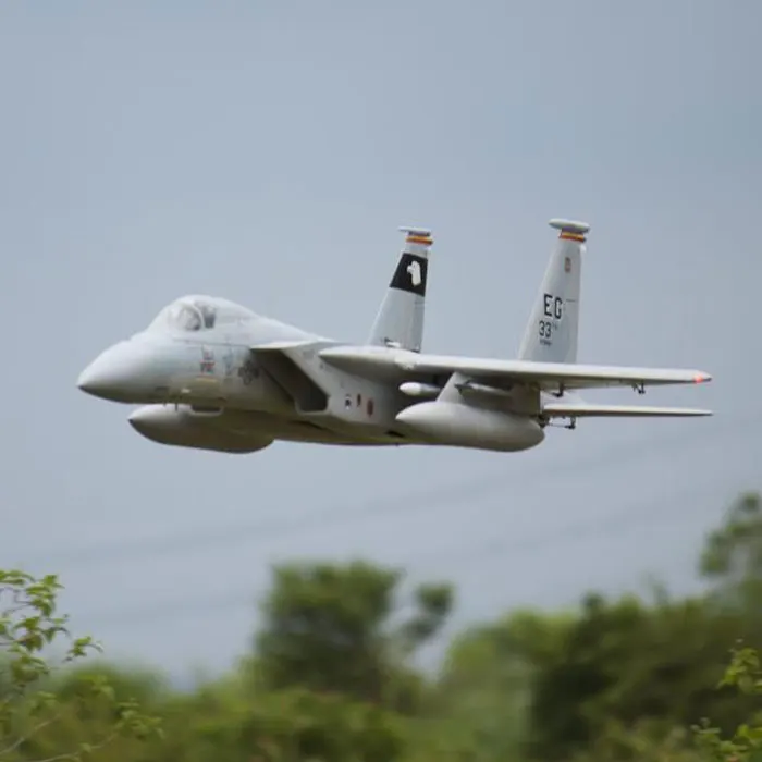 

Электрический RC Jet Freewing F-15E EAGLE F15 F-15 Самолет 90 мм 90 EDF 6s PNP или KIT Сервопривод Выдвижной шасси RC Самолет