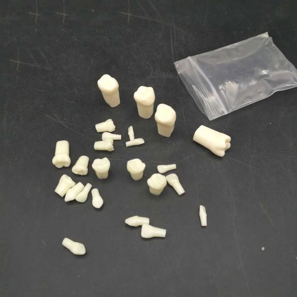 

28 PCS / Bag High Quality Resin Simulation Tooth Grain Dental Model For Dentist Exam Preparation Teaching Free Shipping