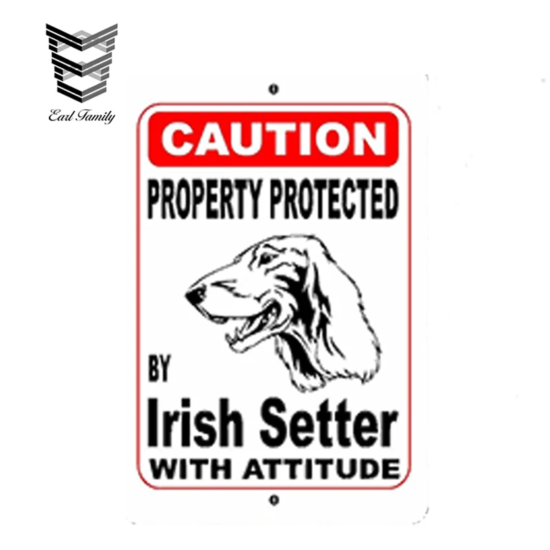 EARLFAMILY 13cm X 8.7cm Car Styling Property Protected By Irish Setter Dog Breed with Car Sticker JDM Vinyl Decal Accessories