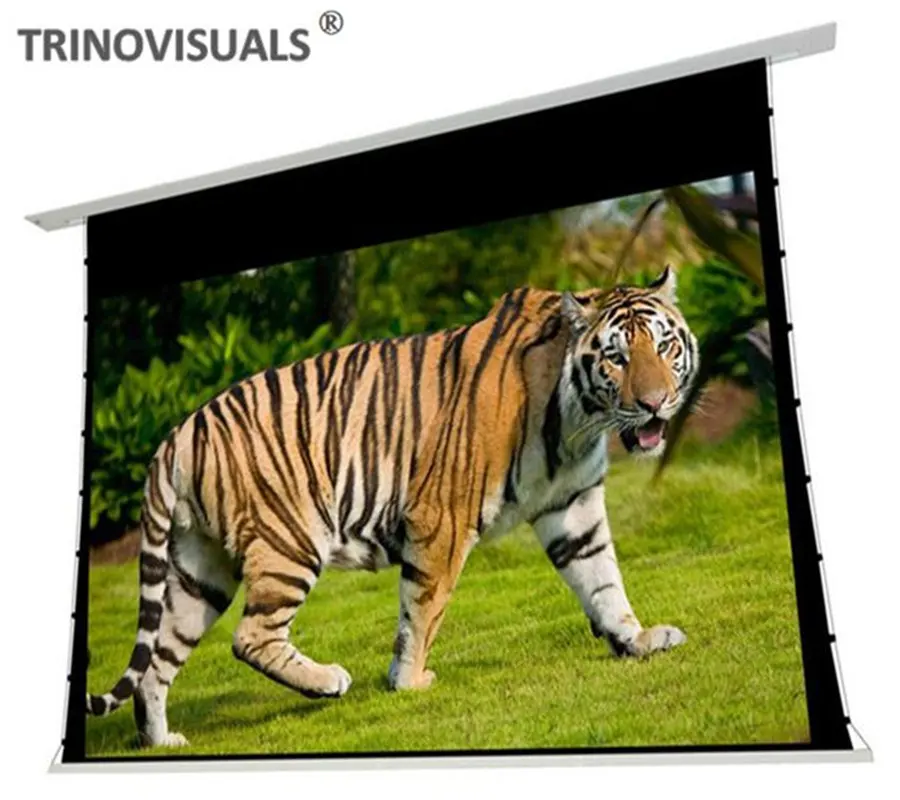 R2TALRW 16:10 8K 4K Ultra HD,Ceiling and Ambient Light Rejecting Electric Projector Screen, Black crystal Projection Material