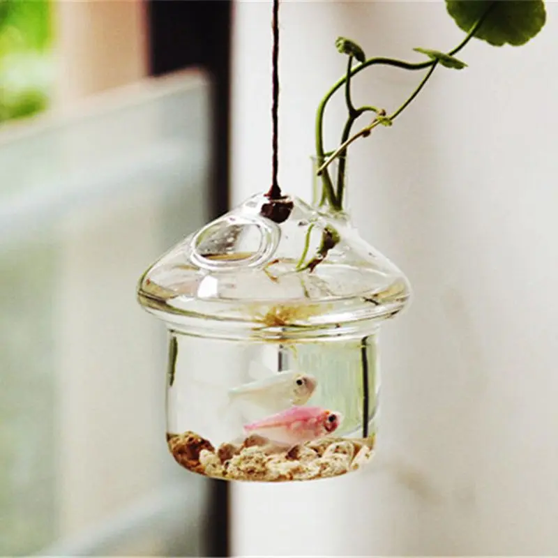 

Mushroom-shaped Hanging Glass Planter Vase Rumble Fish Tank Terrarium Container Home Garden Decor
