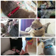 Cat Collar with Bell for Pets #5