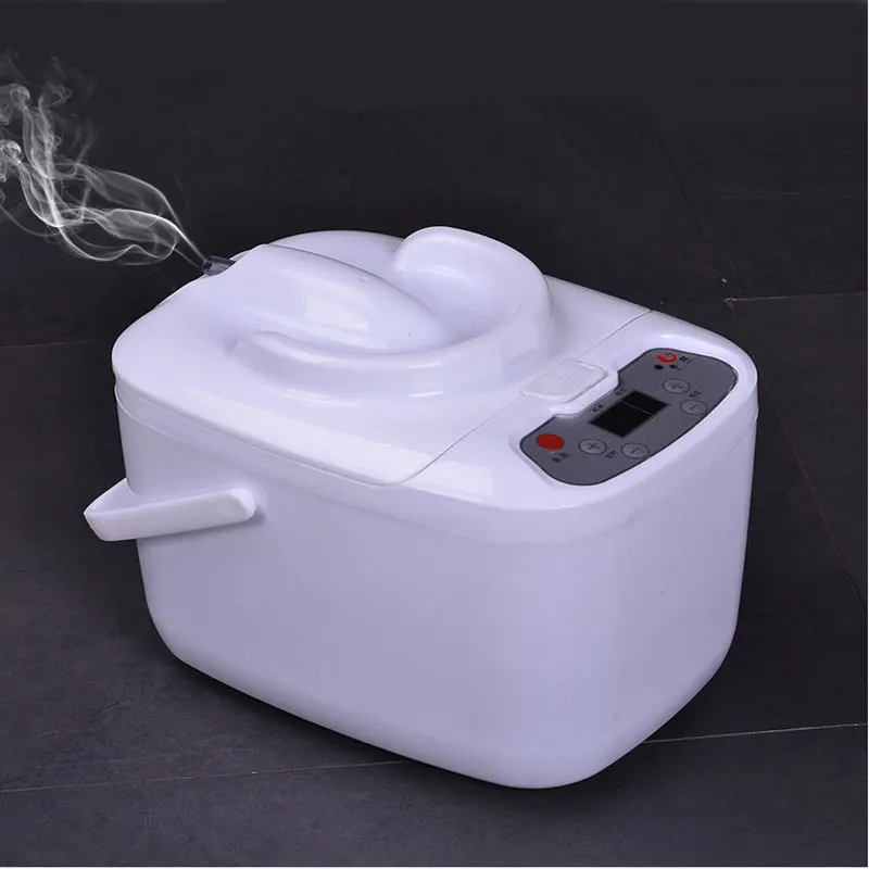 Steamer Pot Steam Generator for Sauna Spa Tent Body Therapy EU Plug Fumigation Machine Steamer Pot 2L Sauna Accessories