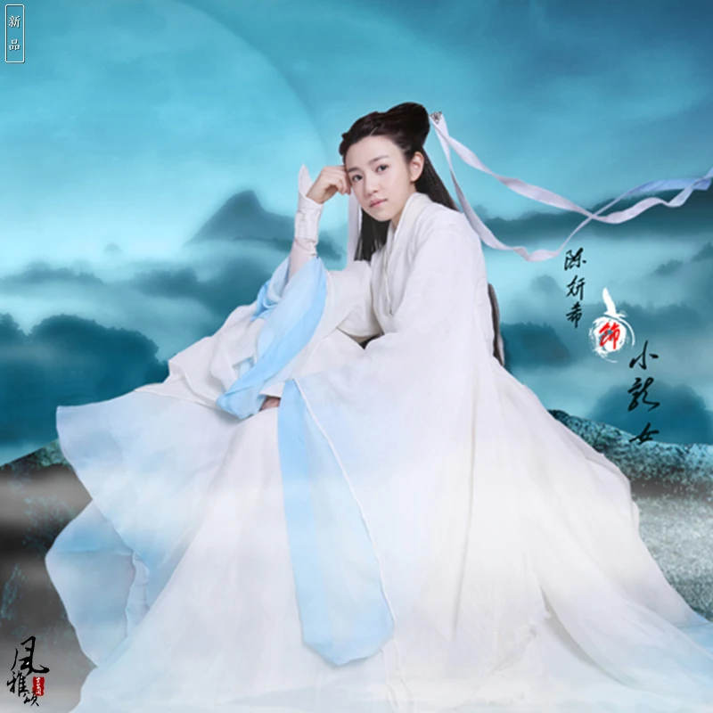 2 Designs Light Blue Swordlady Costume Aesthetic Elegant Fairy Costume Legend of Condor Hero ShenDiaoXiaLv Costumes Chen Yanxi