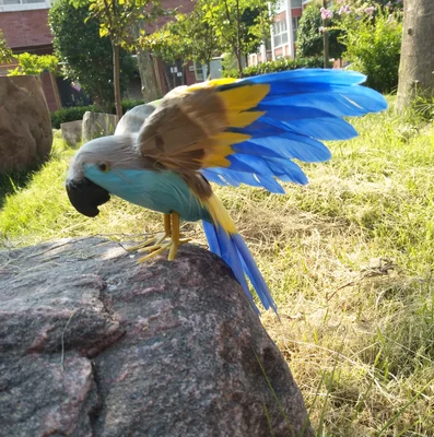 colourful feathers parrot 16x28cm spreading wings artificial bird handicraft,prop,home garden decoration gift p2742