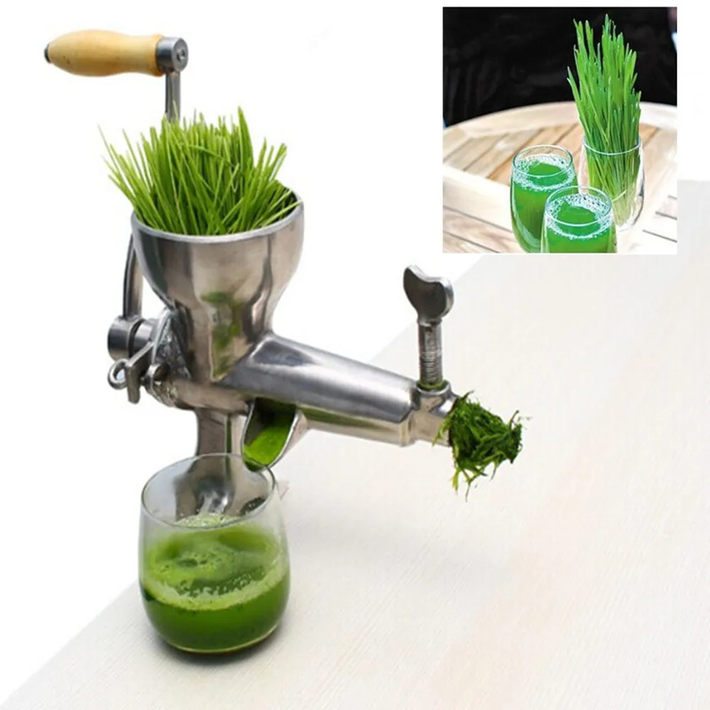 wheat grass juicer machine stainless steel household hand mini fruit apple grape orange juicer fresh cucumber juicer