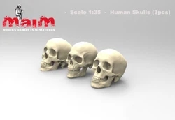 Unassambled   1/35  RESIN Skulls Set modern parts  Figure  Historical  Resin kit miniature model Unpainted