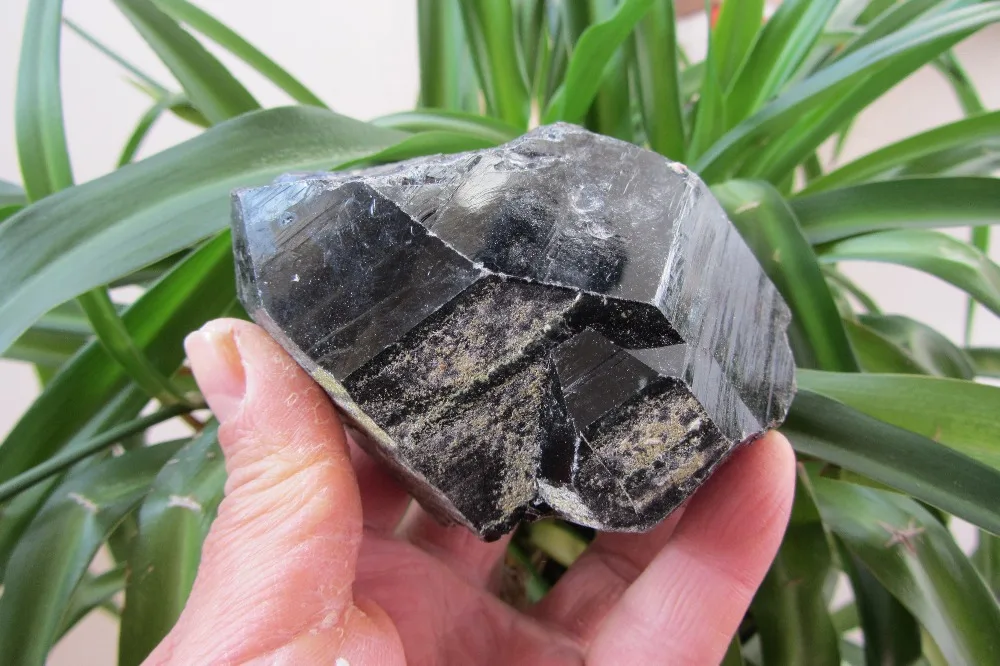 

393.1g RARE Natural BLACK SKELETAL QUARTZ CRYSTAL POINT SPECIMEN