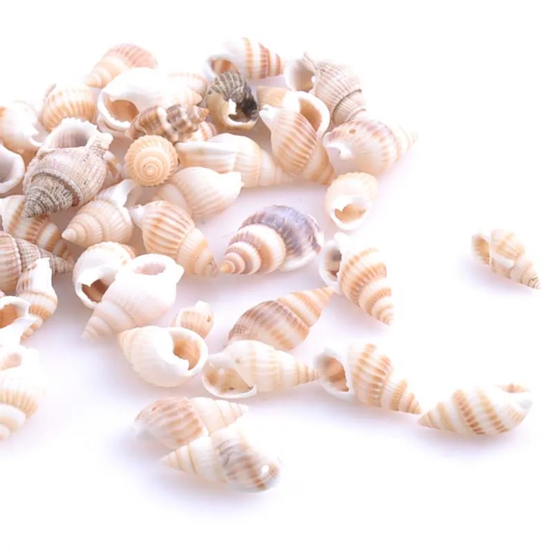 19-25mm Natural Spiral Sea Shell Conch Loose Beads for Jewelry Making DIY 100pcs TRS0126