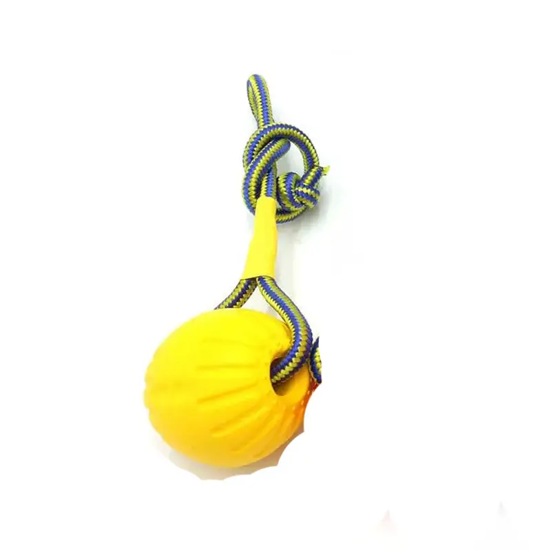 EVA Floating Pet Dog Training Ball Puppy Bite Resistant Ball With Rope Pet Training Ball Chew Toys For Pet Supplies - Image 13