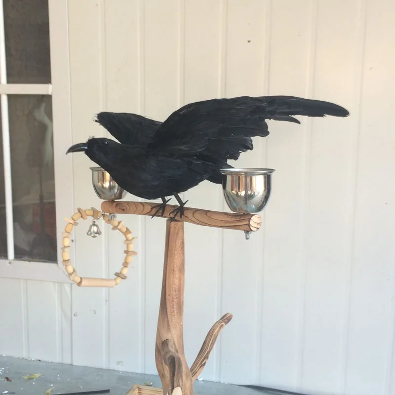 

large 35x50cm foam&feathers black crow spreading wings bird,pastoral handicraft,Halloween prop home garden decoration gift a1792