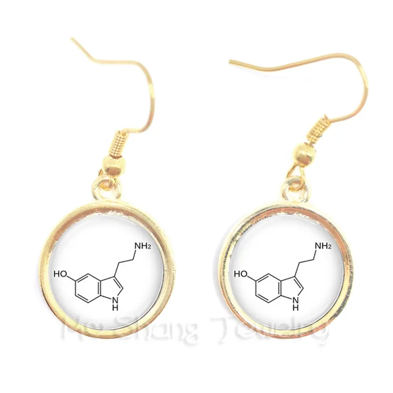 Theobromine Biology Chemistry Element Chemical Formula Earrings For Women Biochemistry Chocolate Molecule Image Creative Gift