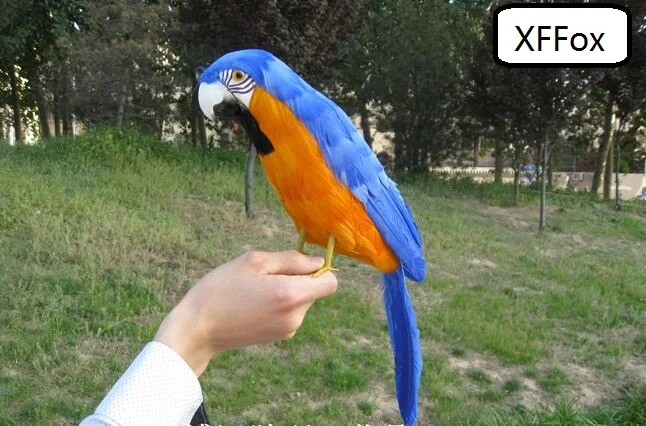 real life blue&orange parrot model foam&feather simulation parrot bird gift about 45cm xf0171