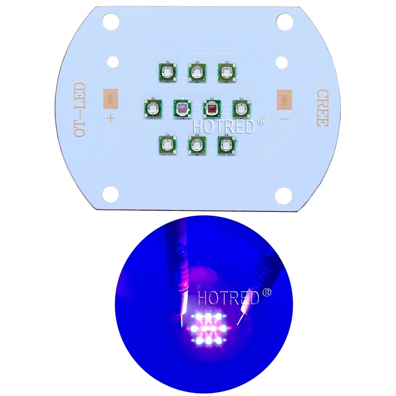 30W 50W60W Plant Grow LED light Original XPE Chips Diode Lamp 660nm red 450NM Royal Blue for indoor garden Fruit Growing Seeding