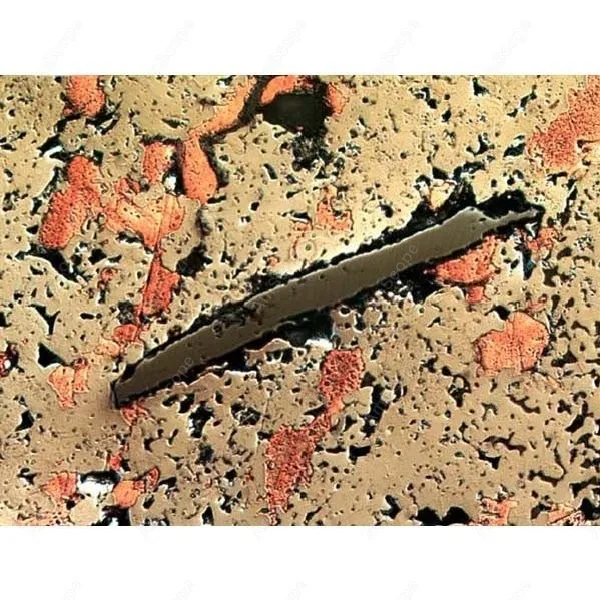 Microscopio Metallurgico-AmScope Forniture 50X-800X Polarizzazione Darkfield Metallografico metallografico Microscopio Metallurgico