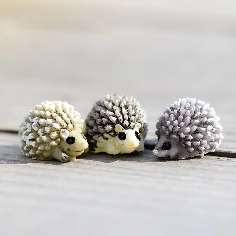 Ricccio per Giardino Miniaturo: La Scelta Perfetta per Creare un Mondo Incantato in Miniatura
