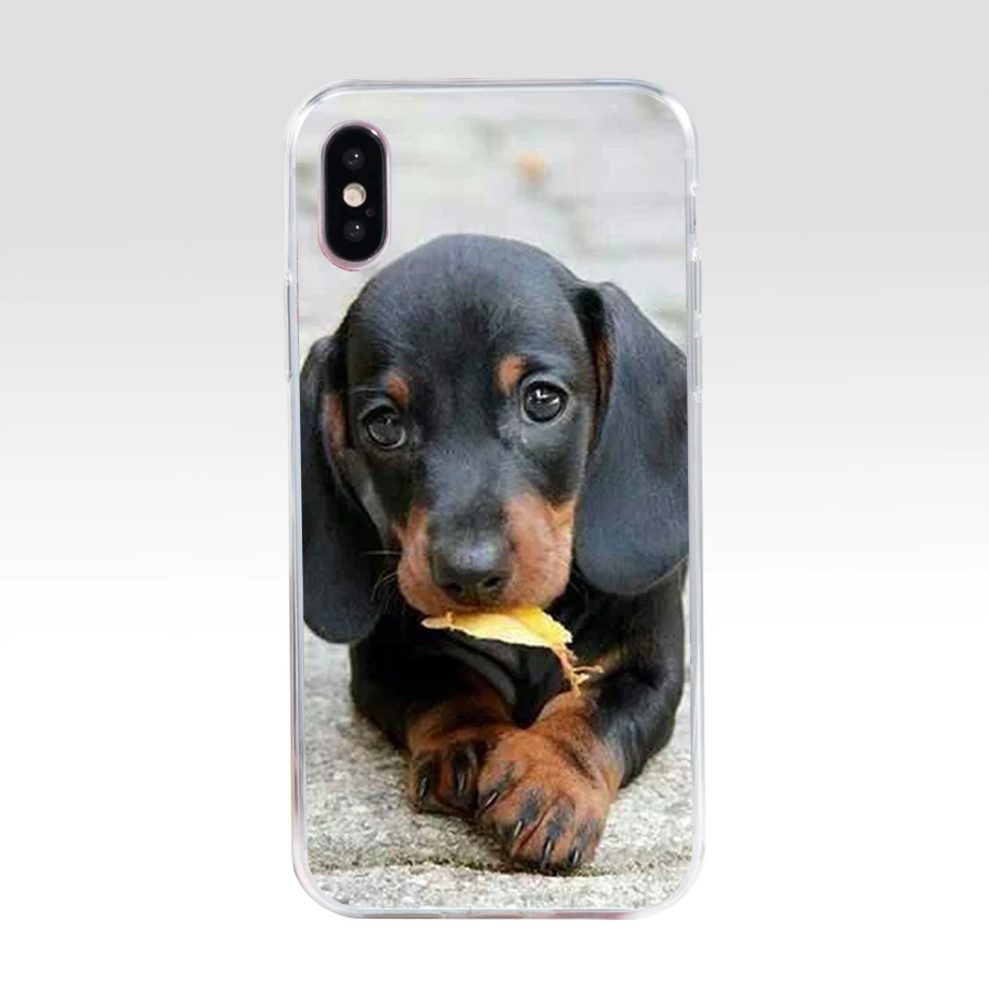 145SD Dachshund Teckel Dackel Dog gift Soft Silicone Tpu Cover phone Case for iphone 5 5s se X XR XS Max case