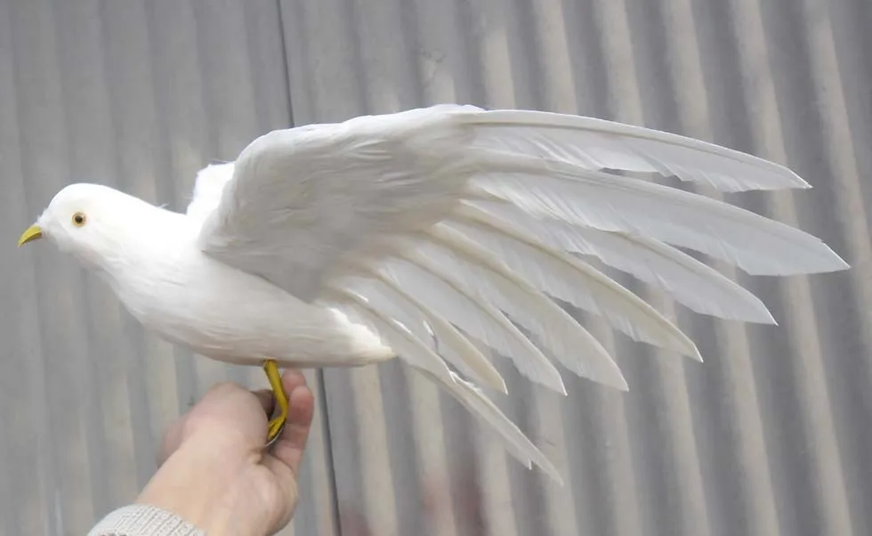 

45x30cm simulation Bird feathers seagull toy spreading wings white seagull model home decoration filming prop gift h1081