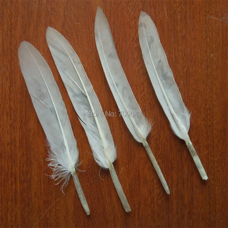 Feder!50PCS/lot!Butterfly Printed Duck Cochettes Loose Feathers craft Feather Art Project Decorate Costume Pen,10-13cm long