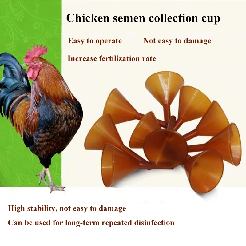 Chanticleer-taza de recolección de Semen, 5 piezas, de plástico, uso repetido, inseminación Artificial, pollo