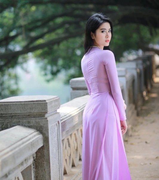 aodai vietnam clothing cheongsam aodai vietnam dress vietnamese traditionally dress cheongsam modern women aodai ao-dai purple