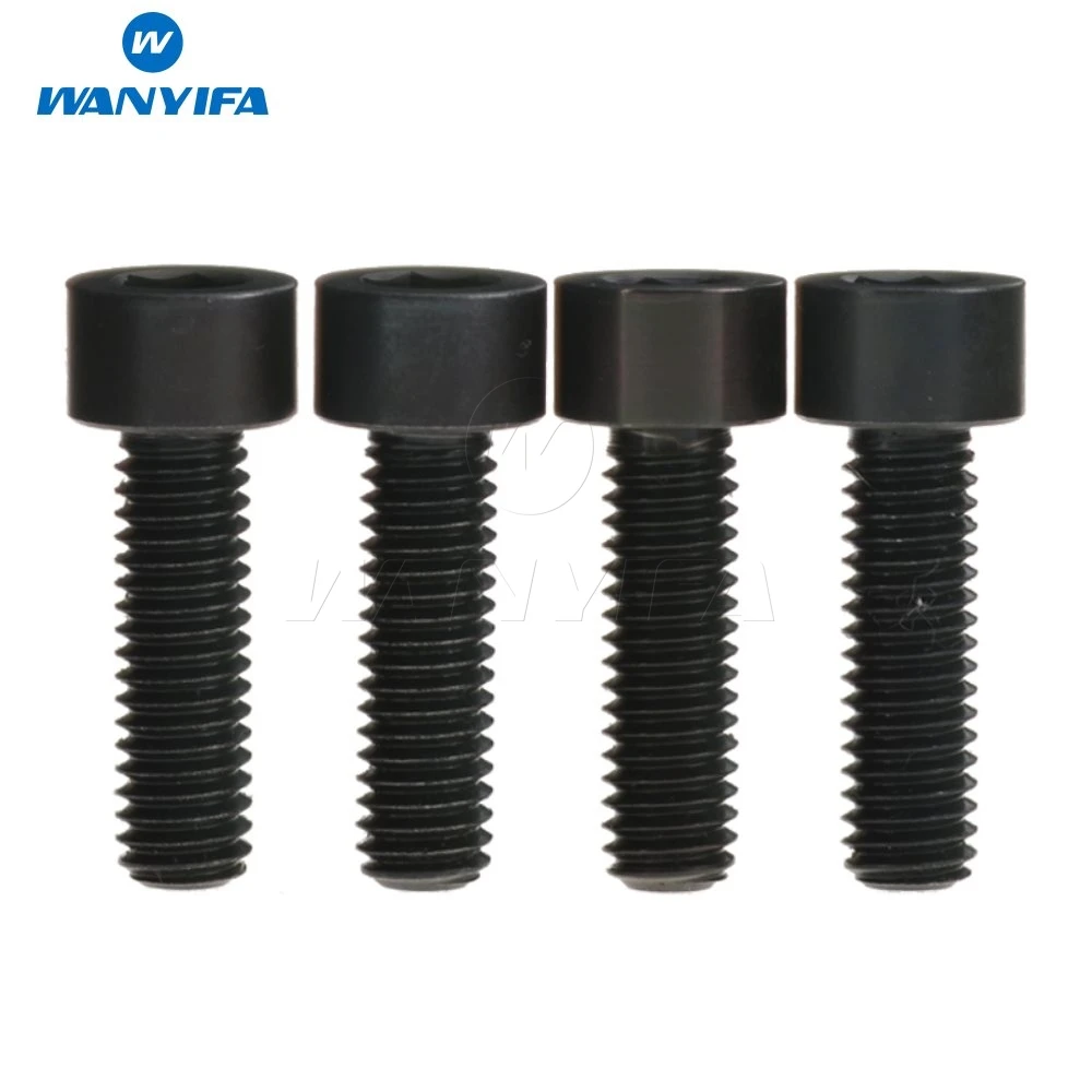 Wanyifa M6x 18 20mm Titanium Ti DIN912 Bolt Hexagon Head Allen Key Screws Bicycle Disc Break Calipe pack of 4
