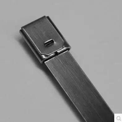 10PCS 4.6X200มม.4.6*200 304ss เรือ Marine ซิปสายคล้องคอ Ball Lock Self-Locking สายสแตนเลส304 Tie