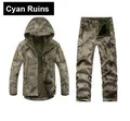 012 Cyan Ruins